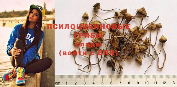 гашик Абдулино