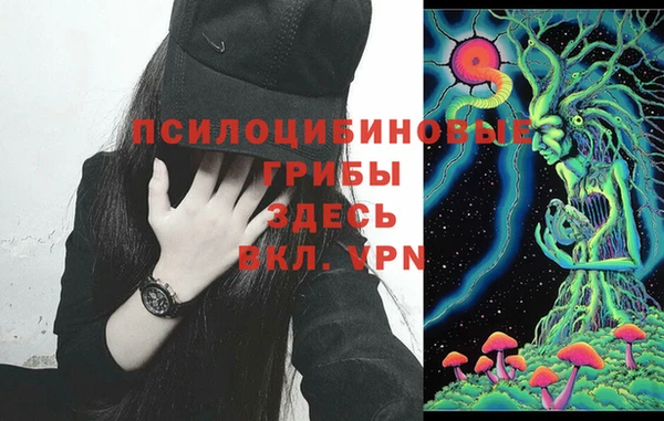 гашик Абдулино