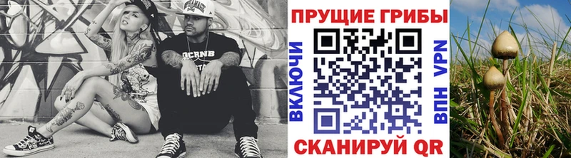 Галлюциногенные грибы Psilocybine cubensis  Апрелевка 